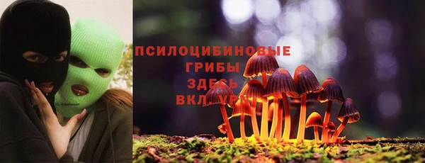 винт Каменск-Шахтинский