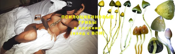 винт Каменск-Шахтинский