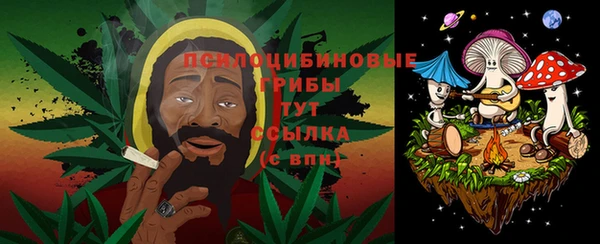 винт Каменск-Шахтинский