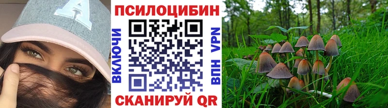 Купить закладки  Бугульма  Псилоцибиновые грибы Cubensis 